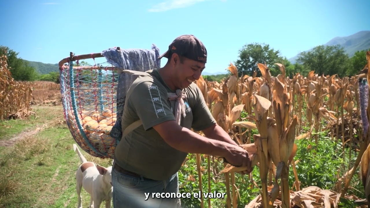 El compromiso con el campo mexicano se refleja en hechos 🌽