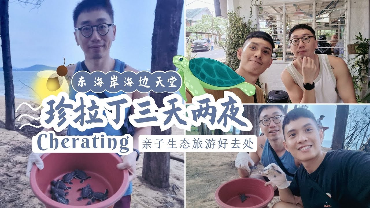 【彭亨海边天堂 珍拉丁Cherating 3天2夜】亲子生态旅游好去处 放海龟 夜访萤火虫 | 五星酒店 The Kasturi Resort 开箱 | 美食推荐 Ombok Surf Cafe