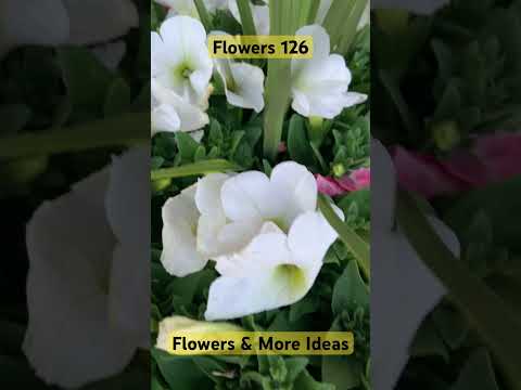 Flowers 126 - Flowers & More Ideas #gardens #greens #plants #lovely #floral @flowersmoreideas3639