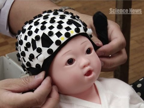 研究室から得られた「脳」は、未熟児の脳と同様の活動を示す