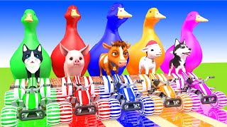 5 Giant Duck, Monkey, Piglet, chicken, dog, cat, pig, cow, Sheep, Transfiguration funny animal 2024