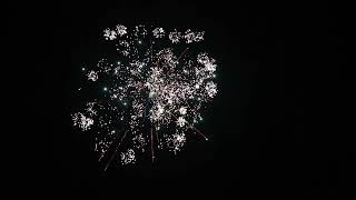 Výmetníky Single shot Fallout 38mm 3ks/bal