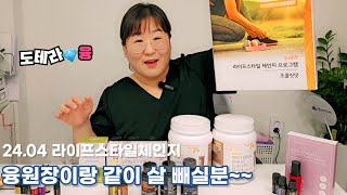 [도테라융] 봄에는 살 빼셔야져? ㅎ 도테라와 함께 메타 다이어트 해 봐요~ (24.04 도테라 프로모션 라이프스타일체인지 키트 할인)