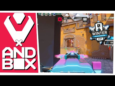 SEMI FINAL ! SENTINELS vs ANDBOX - HIGHLIGHTS | Nerd Street Gamers - Winter Championship