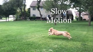 Slow Motion