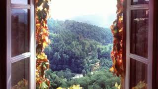 Gib mir deine Hand, Helene Fischer (COVER)