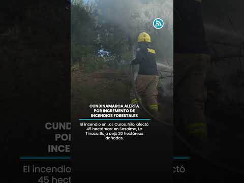 🔥 Cundinamarca en alerta: 30 incendios forestales en 6 provincias