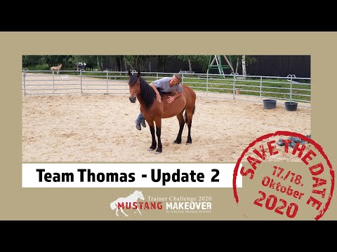 MUSTANG MAKEOVER 2020 - Team Thomas (TAG 5004) - Update 2