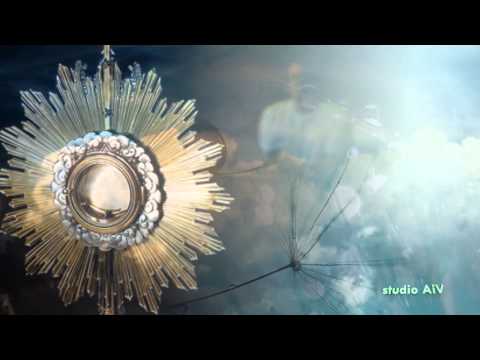 Ivan Puljić - Hvala ti hvala Kriste