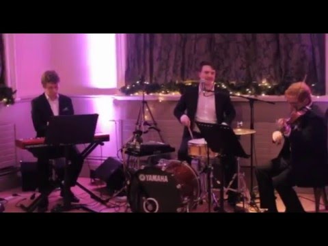 The Manchester Ceilidh Trio - Available from AliveNetwork.com