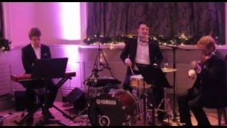 The Manchester Ceilidh Trio - Available from AliveNetwork.com