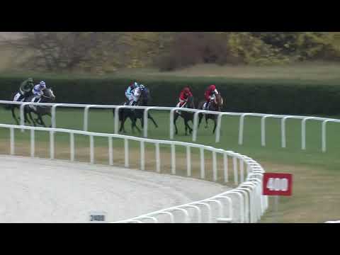 2018.10.28. 03. futam - NYERETLEN KÉTÉVESEK VERSENYE (IV.kat.) II. rész