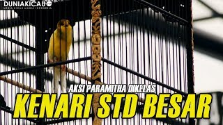 Download lagu AKSI PARAMITHA Dikelas Kenari Standar Besar mp3 Download lagu AKSI PARAMITHA Dikelas Kenari Standar Besar mp3
