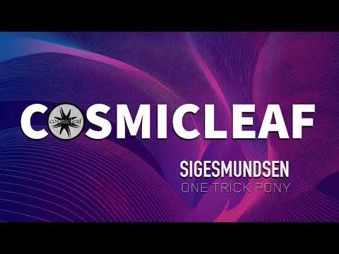 Sigesmundsen - Groover