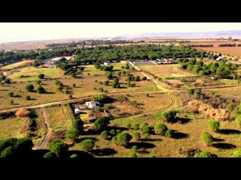 Terrains Angelotti Sérignan - Les Terres Marines - Hérault 34