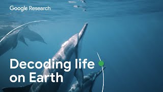 Decoding the DNA of Life on Earth