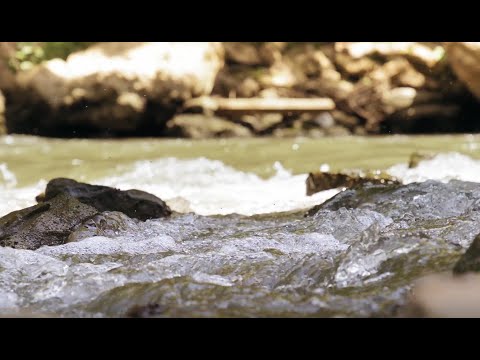 Hosur Then Pennai River | ஓசூர் பகுதியில் விளைநிலங்களை கையகப்படுத்துவதை தவிர்த்து விடுங்கள்
