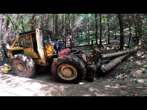 LKT MAN - Prvá ťažba v poraste. Vjazd do porastu cez potok . Stihl ms 400 a mechanicky klin