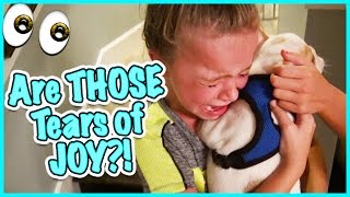 🙃 DO WE GET A FRENCHIE? NO CRYING ALLOWED! 🙃SMELLYBELLY TV VLOGS