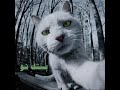 Shahyn - Bestek now (Feat. SAMER) | شاهين و سامر - بستك نو Shahyn - Bestek now (Feat. SAMER) | شاهين و سامر - بستك نو