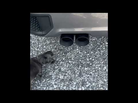 Rough Country Performance Exhaust on my 2022 Silverado Z71 RST