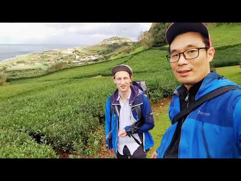 Tea Addicts 2021 - Azoren Tea Scouting Field Trip Recherche Kultivare Ilha de São Miguel