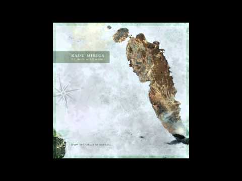 Radu Mirica  - Consum Scazut