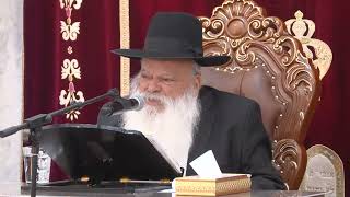 שטפו לך את המוח | הרב דניאל זר (הרב דניאל זר) - התמונה מוצגת ישירות מתוך אתר האינטרנט יוטיוב. זכויות היוצרים בתמונה שייכות ליוצרה. קישור קרדיט למקור התוכן נמצא בתוך דף הסרטון