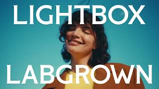 Lightbox Jewelry The New Lab-Grown Diamond Emerald Tennis Necklace