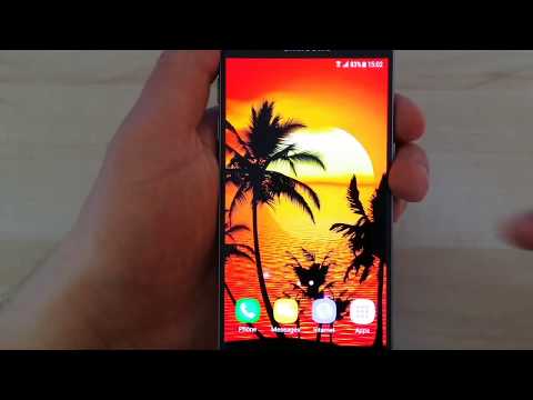 Tropical Live Wallpaper Video