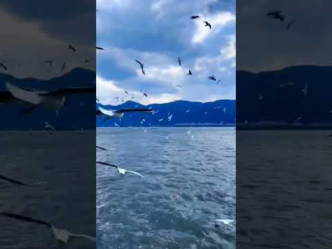 beautiful places in china|heaven in earth places🇨🇳🌏|#shorts #viral #china #travel #explore #trending