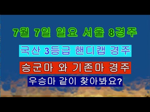 7월 7일 일요 서울 8경주 국산 3군 핸디캡 경주 승군마 와 기존마 중에서 우승마 찾아봐요?