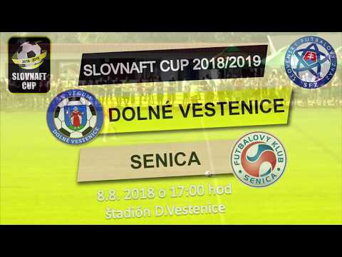 Zostrih zápasu Dolné Vestenice - Senica I SLOVNAFT CUP 2018/2019