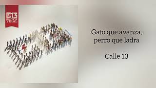 &quot;Gato que avanza, perro que ladra&quot; Calle 13