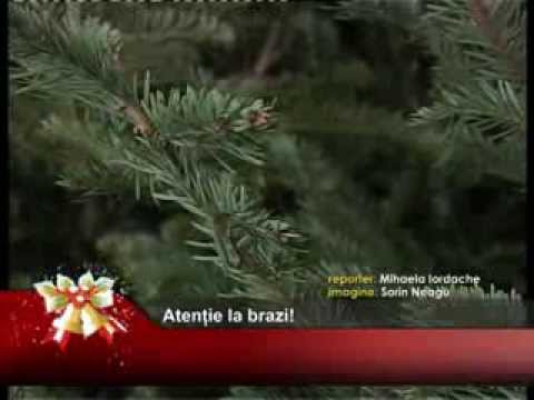 Atenție la brazi!