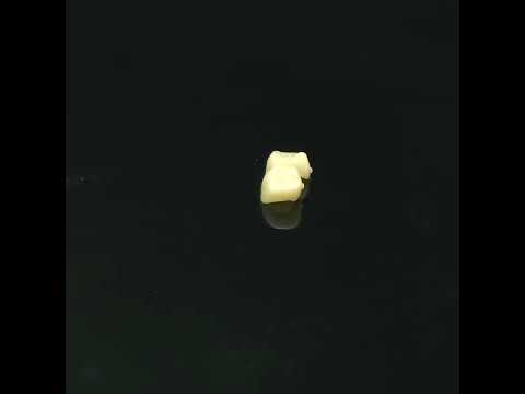 YouTube 썸네일