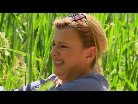 Gasztroangyal 28. rész - Gazvacsora (2016)