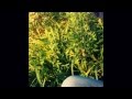 Ленар Яшен балыкта 