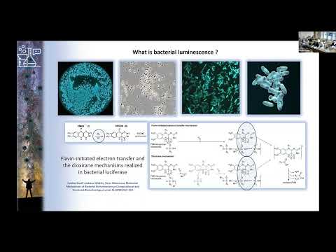 PLENARY SESSION. MARTINYUK Viktor. Part 1 ukr