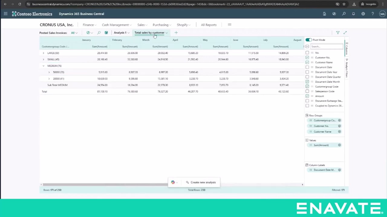 Unlock Data Insights with Copilot in Business Central