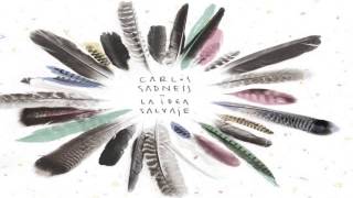 Carlos Sadness - Santamaria