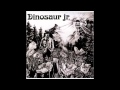 Dinosaur Jr. - Cats in a Bowl 