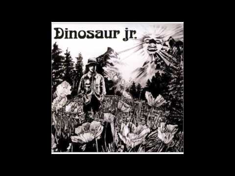 Dinosaur Jr. - Cats in a Bowl