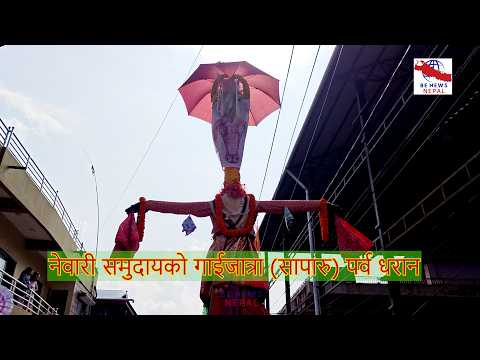 नेवारी समुदायको गाईजात्रा (सापारु) पर्व धरानमा भव्य, उल्लासमय तथा श्रद्धापूर्वक सम्पन्न .....