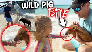 Chloe Gets Bit by a WILD Pig!