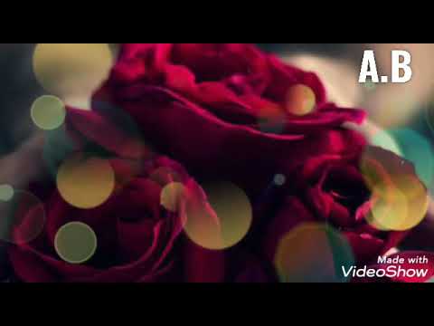 Zviad Bakuri ft Mariam Barishvili - Chemi Agara Khar