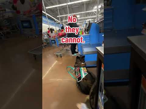 ESAs are not service animals!!! #esa #fakeservicedogs #dogs #viral #shorts #servicedogs #dog #adalaw