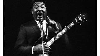 Muddy Waters- Everything Is Gonna Be Alright (Live)
