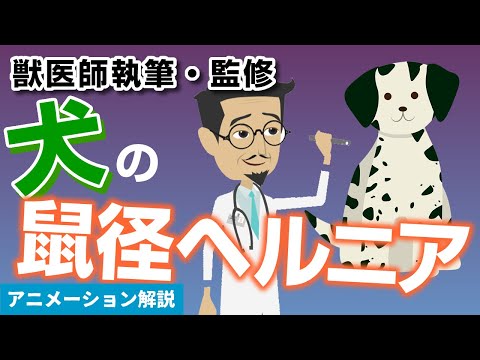 犬の鼠径ヘルニア:診断と治療