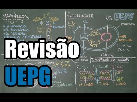 UEPG Review - Summer Entrance Exam 2017